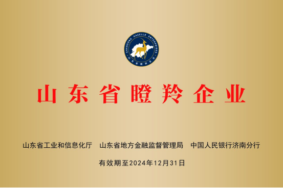 山東慧創(chuàng)信息科技有限公司 山東慧創(chuàng)信息科技有限公司